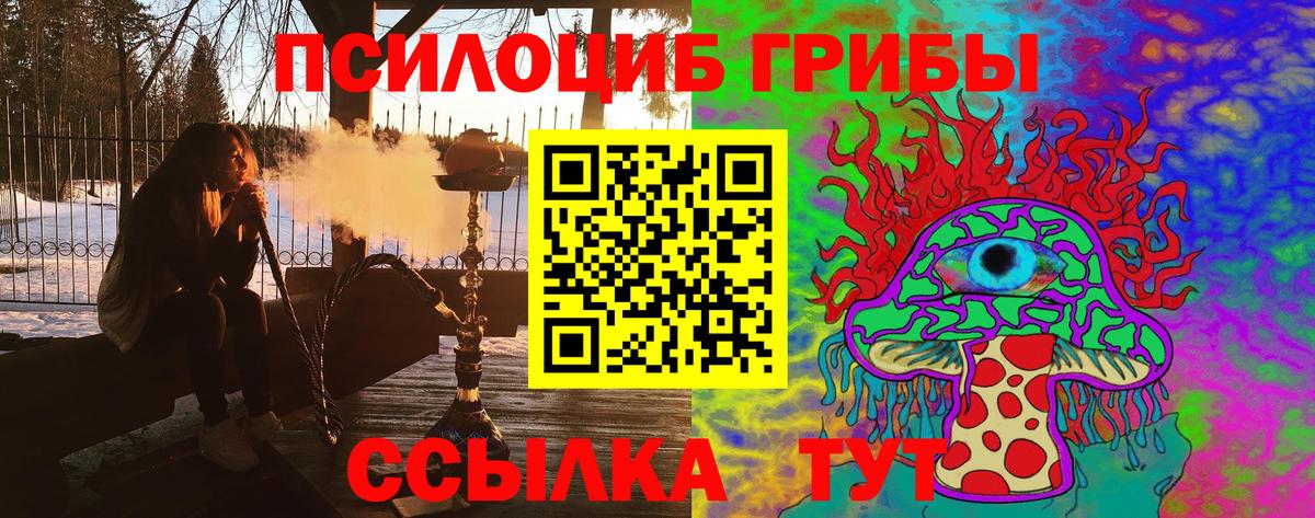 Галлюциногенные грибы мухоморы  Вход с VPN  Псилоцибиновые грибы ЛСД  Камень-на-Оби 